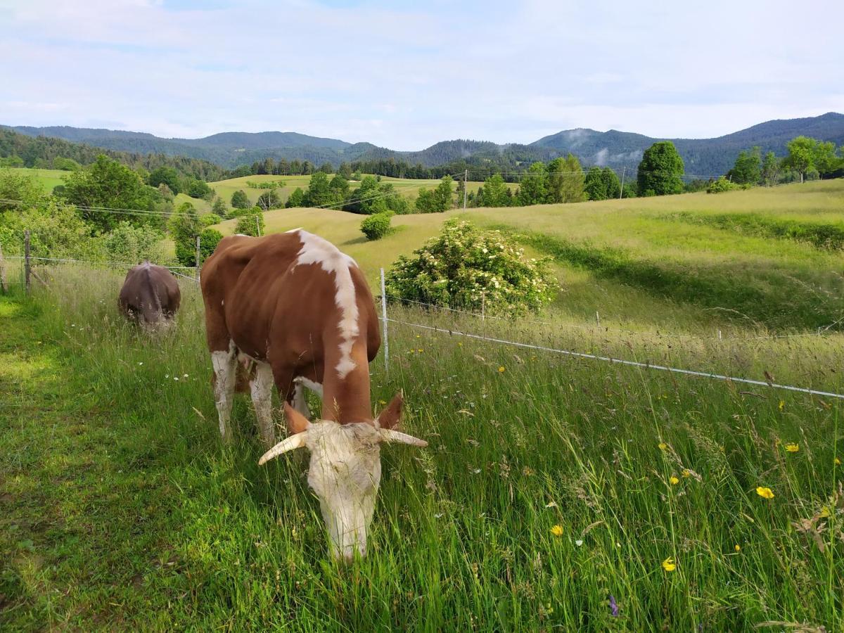 Tourist Farm Strle With Great Local Food Villa Церкница Екстериор снимка