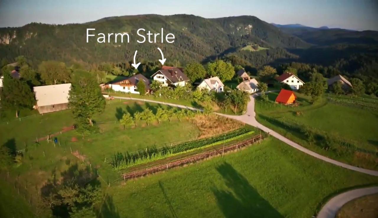 Tourist Farm Strle With Great Local Food Villa Церкница Екстериор снимка