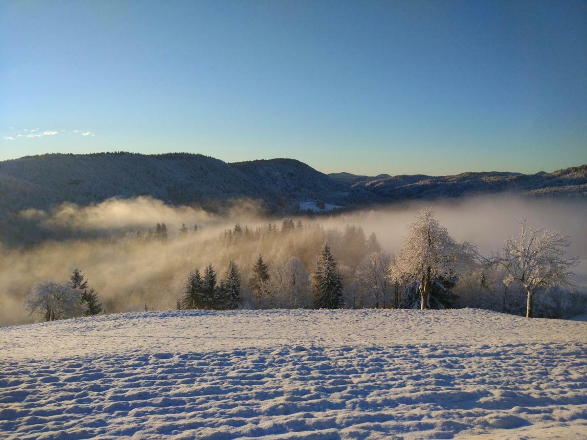 Tourist Farm Strle With Great Local Food Villa Церкница Екстериор снимка